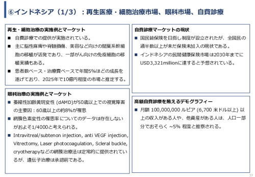 令和６年度「網膜再生医療の国内外の普及に向けた医療プラットフォーム構築事業」事業報告書